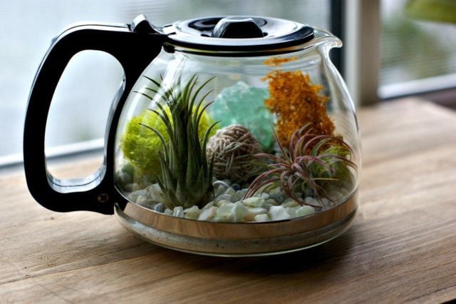 desain aquarium mini