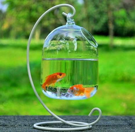 desain aquarium mini