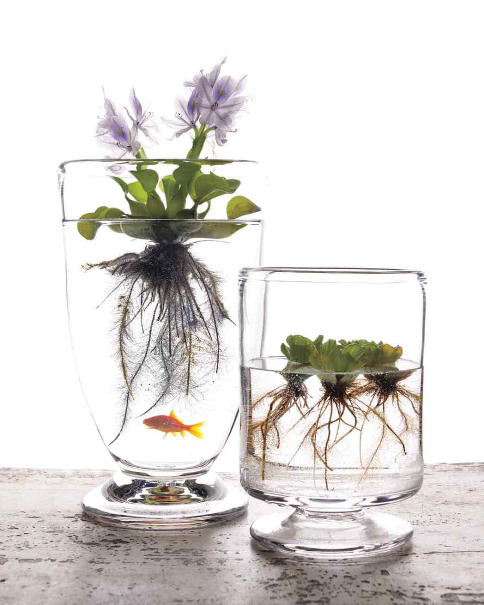 desain aquarium mini