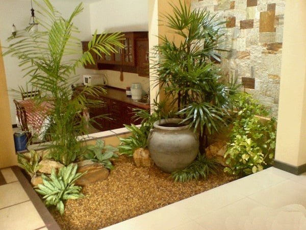 taman indoor minimalis di dekat dapur