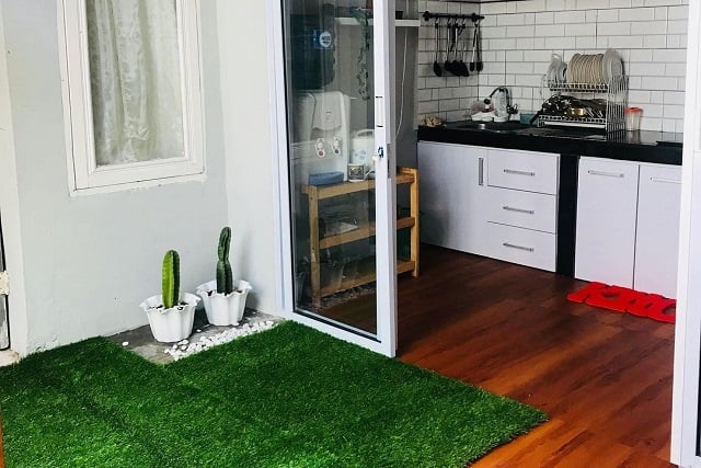 taman dalam rumah dekat dapur taman dalam rumah dekat dapur