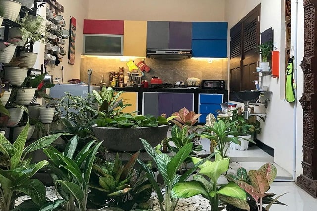 contoh taman dalam rumah dekat dapur taman dalam rumah dekat dapur