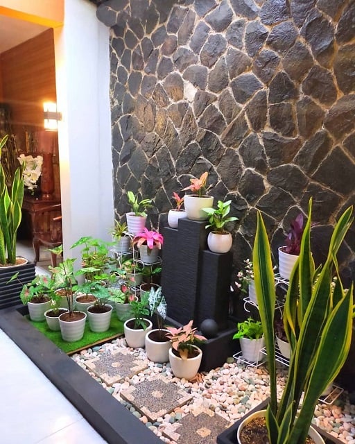 ide taman indoor kering di hunian