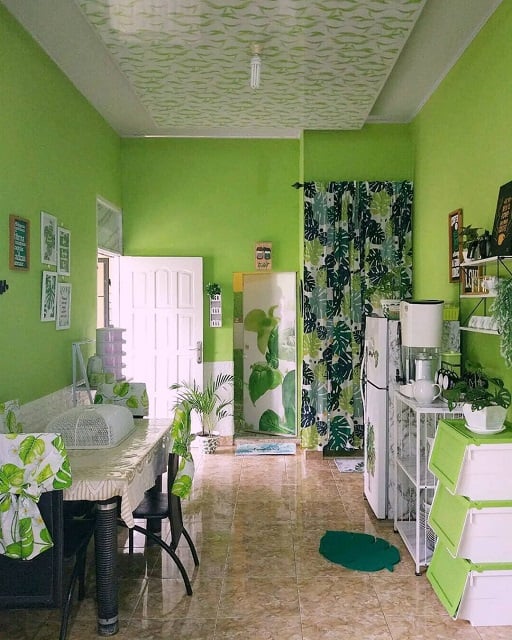dapur warna hijau