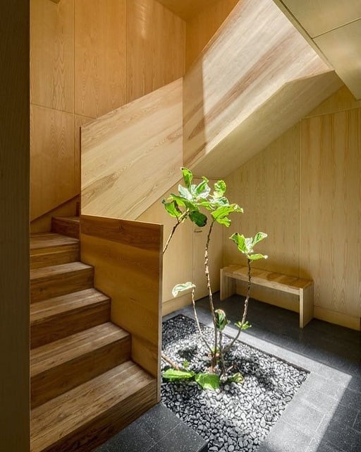 taman minimalis di rumah