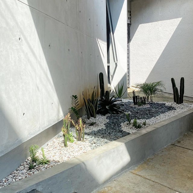 taman kering kaktus