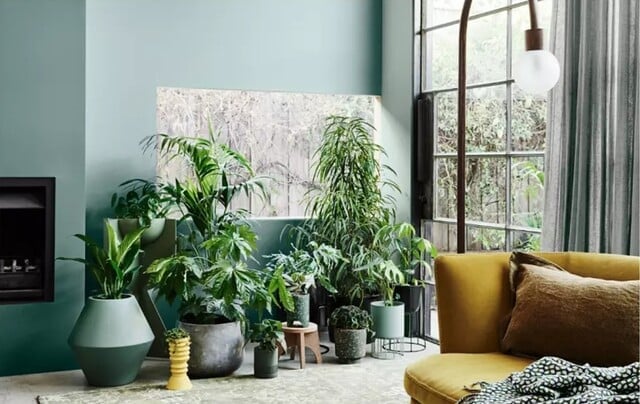 kombinasi warna cat rumah hijau mint dan krem kombinasi warna cat rumah hijau mint dan krem