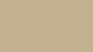 Cokelat Khaki
