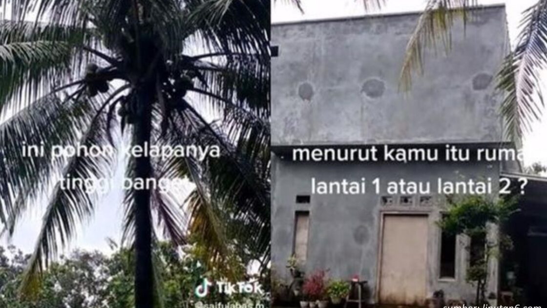 Intip Potret Rumah Setinggi Pohon Kelapa, Bentuknya Bikin Warganet Heran!