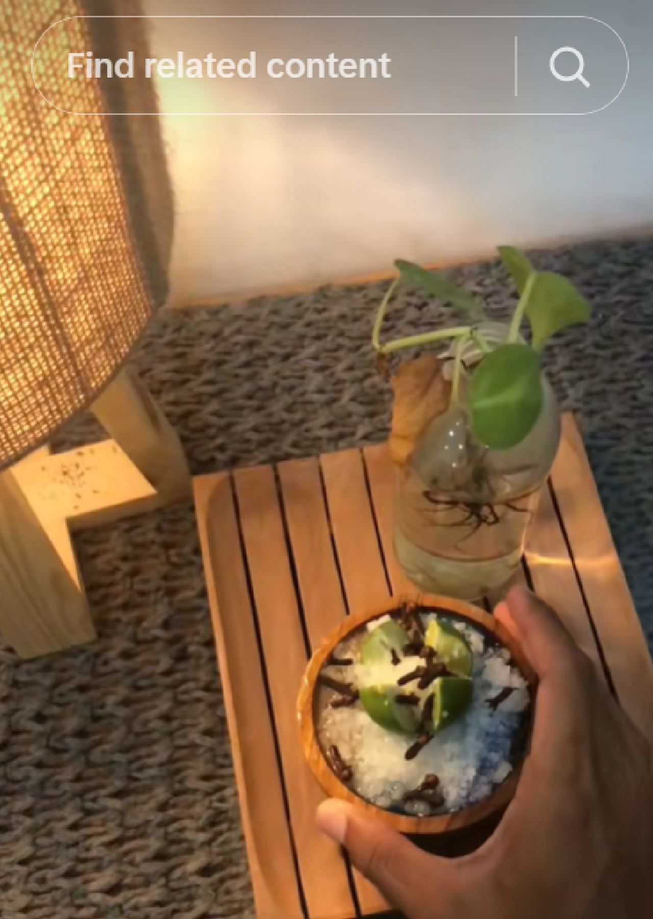 cara mengusir nyamuk dengan garam