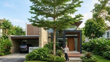 Pohon Pule Depan Rumah: Mitos, Manfaat, dan Simbol