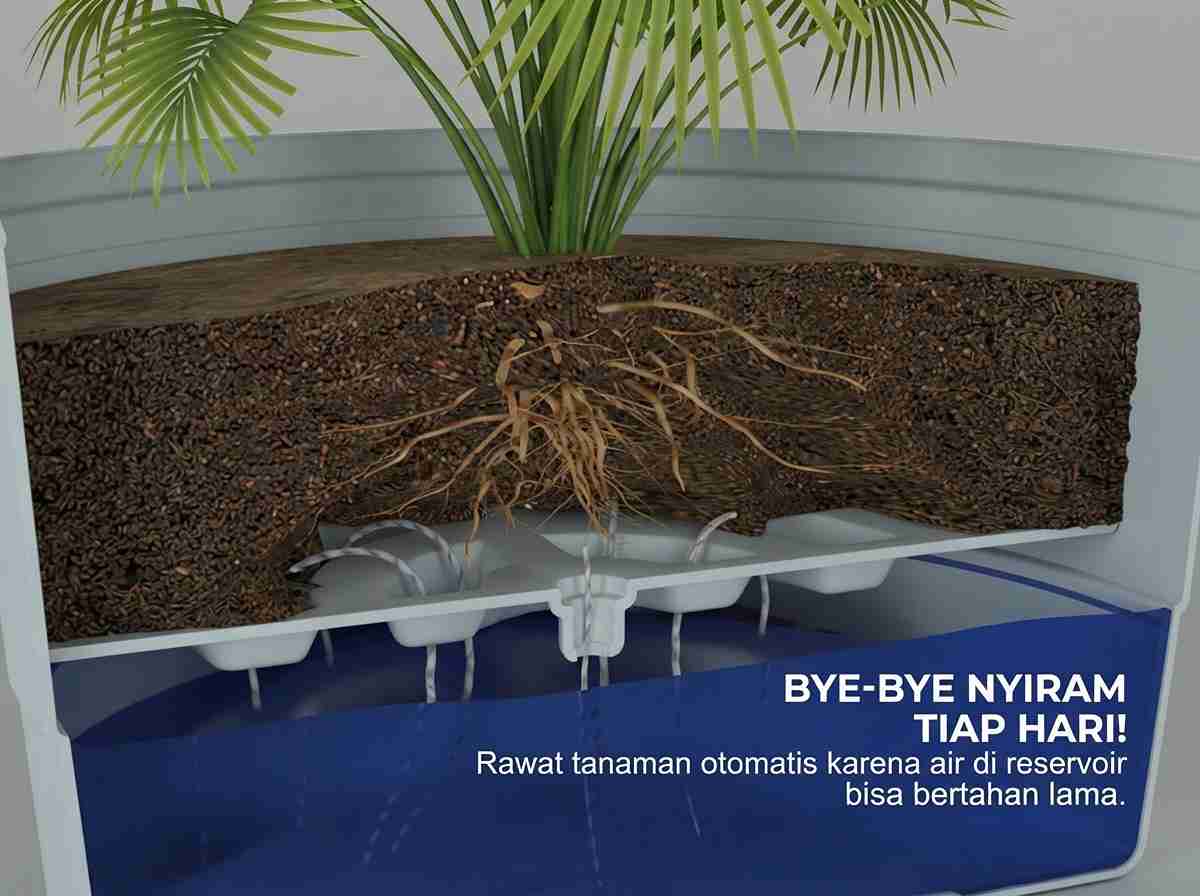 Memilih Pot Tanaman 