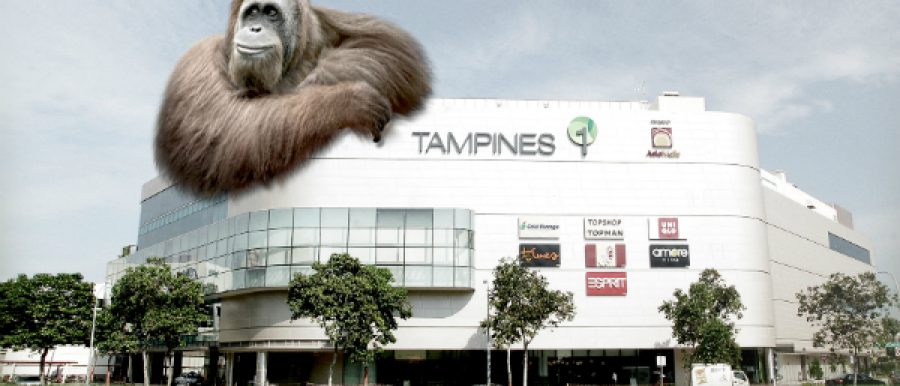 Neighbourhood Guides 5 Reasons Why All Eyes Are On Tampines North Neighbourhood Guides 5 Reasons Why All Eyes Are On Tampines North
