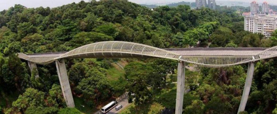henderson waves young families