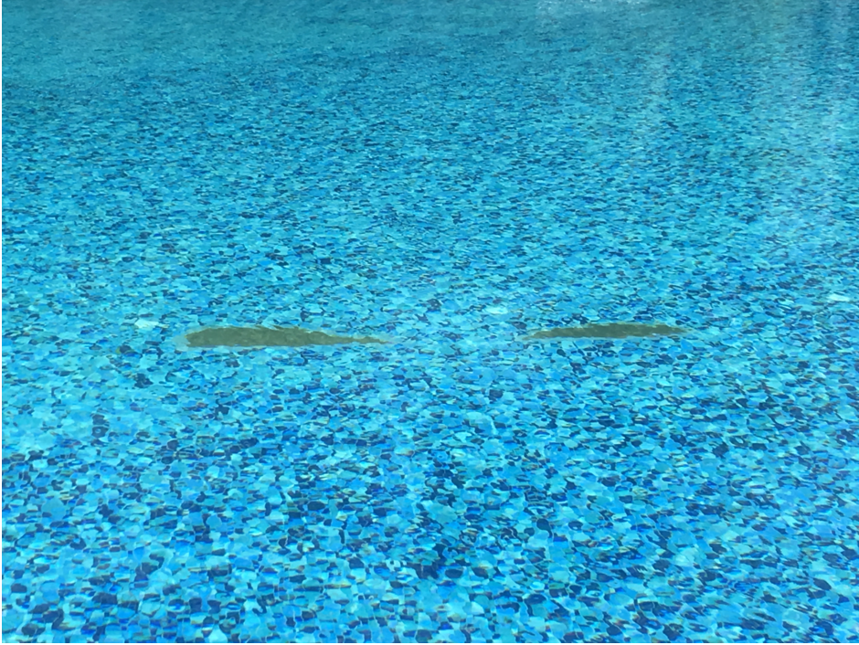 Swimming Pool Sea View