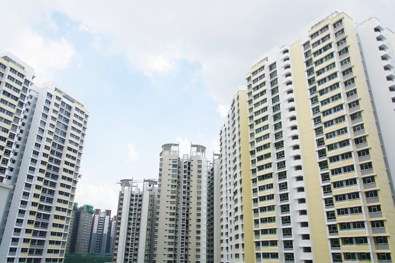 singapore permanent resident cannot buy BTO flat