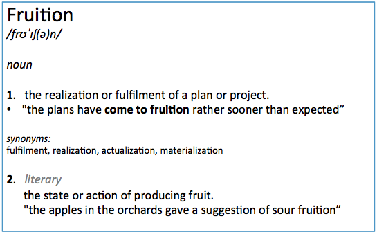 fruition word meaning for ridiculous condo names in Singapore