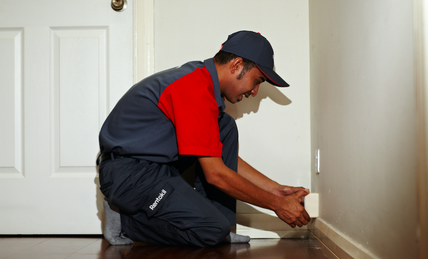 Termite Prevention