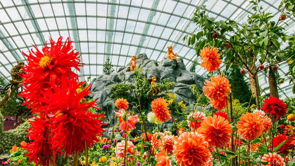 gardens-by-the-bay