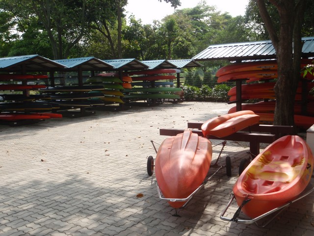 kayak