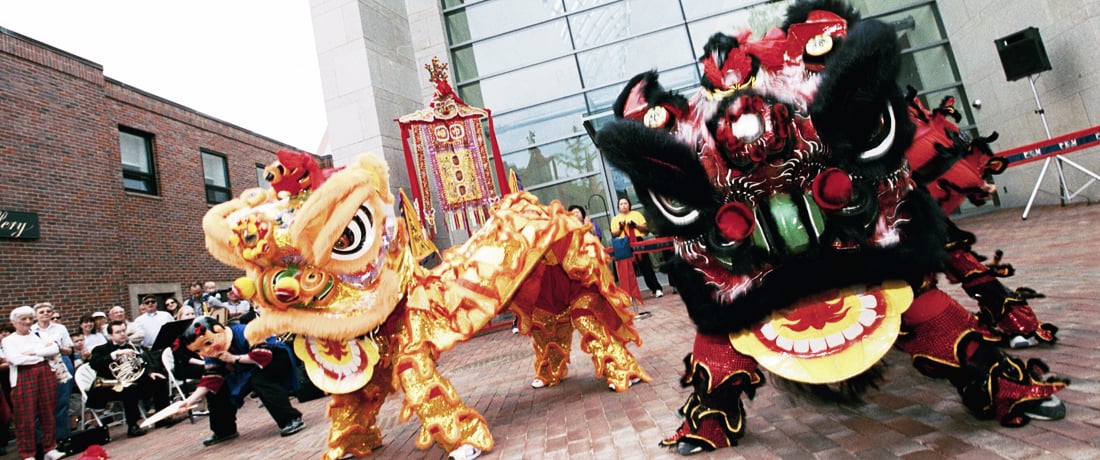 Having a lion dance performance in your home or office can bring a whole lot of luck!