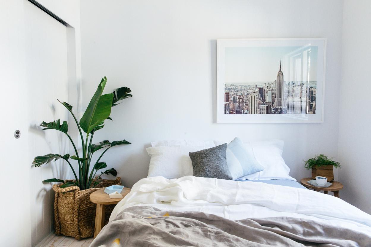 live-plants