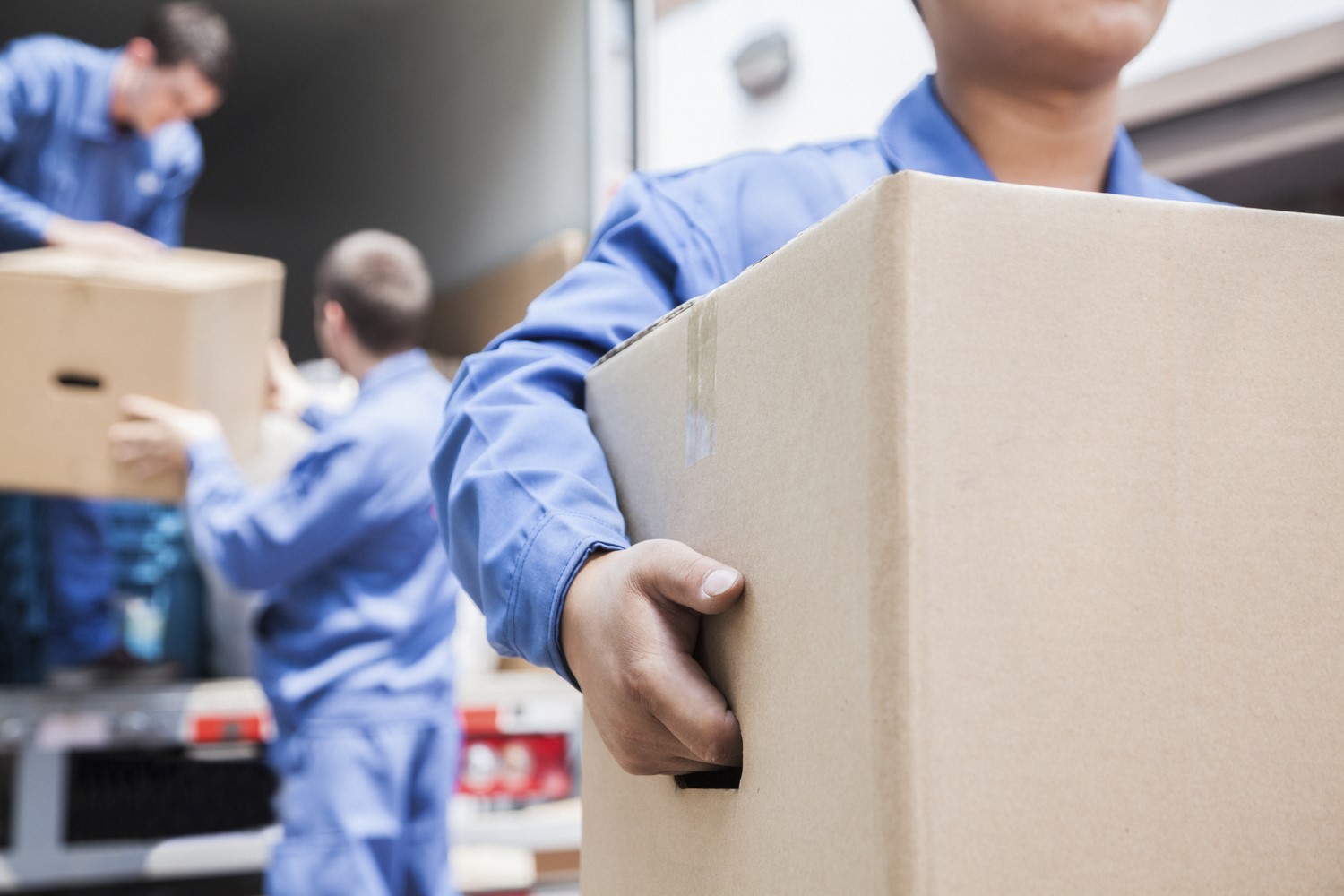Moving, Professional Movers