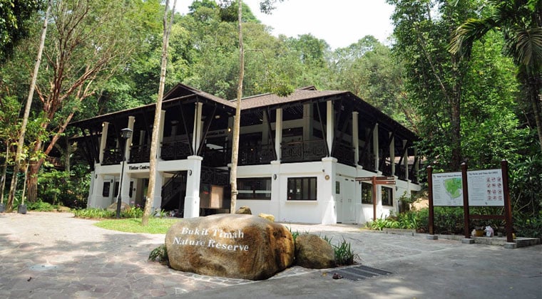 Bukit Timah Nature Reserve