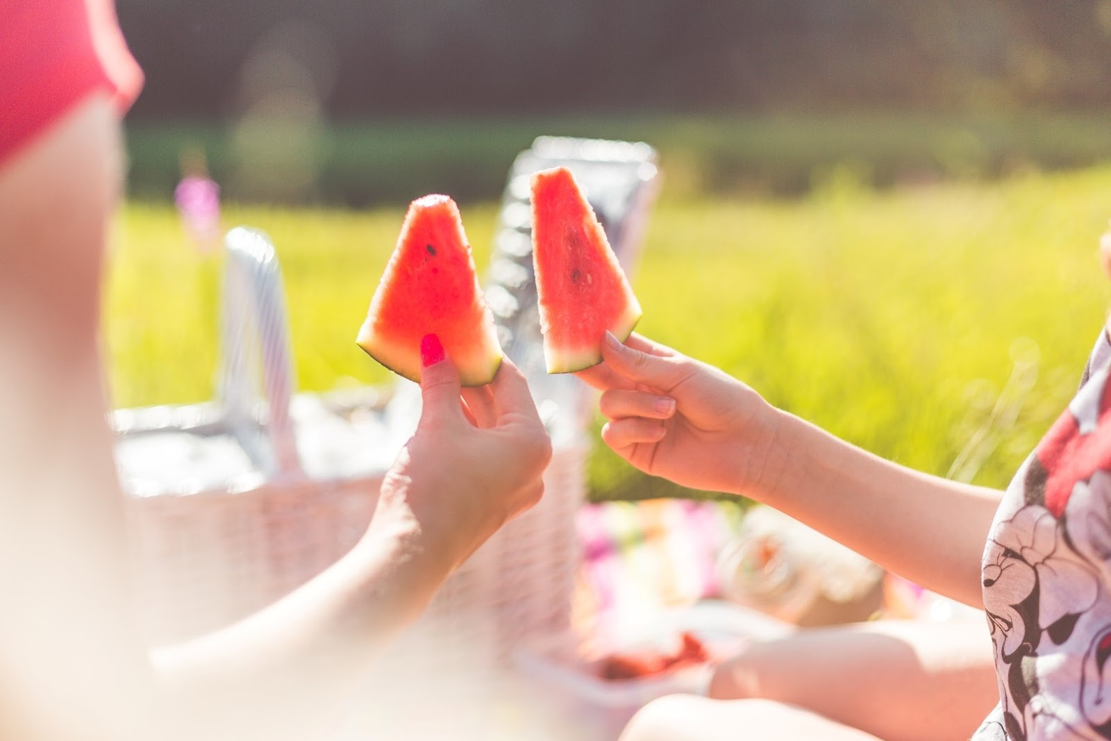 Picnics with children are lots of fun