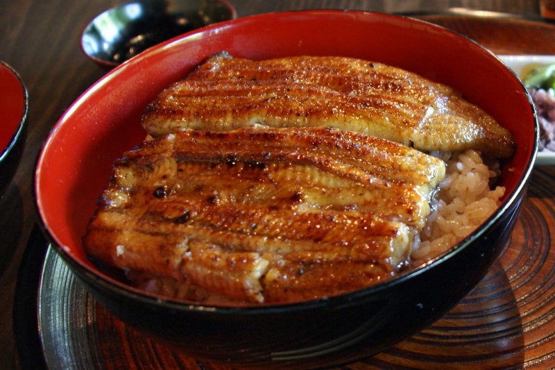 Head to Chijuyotei for great japanese food