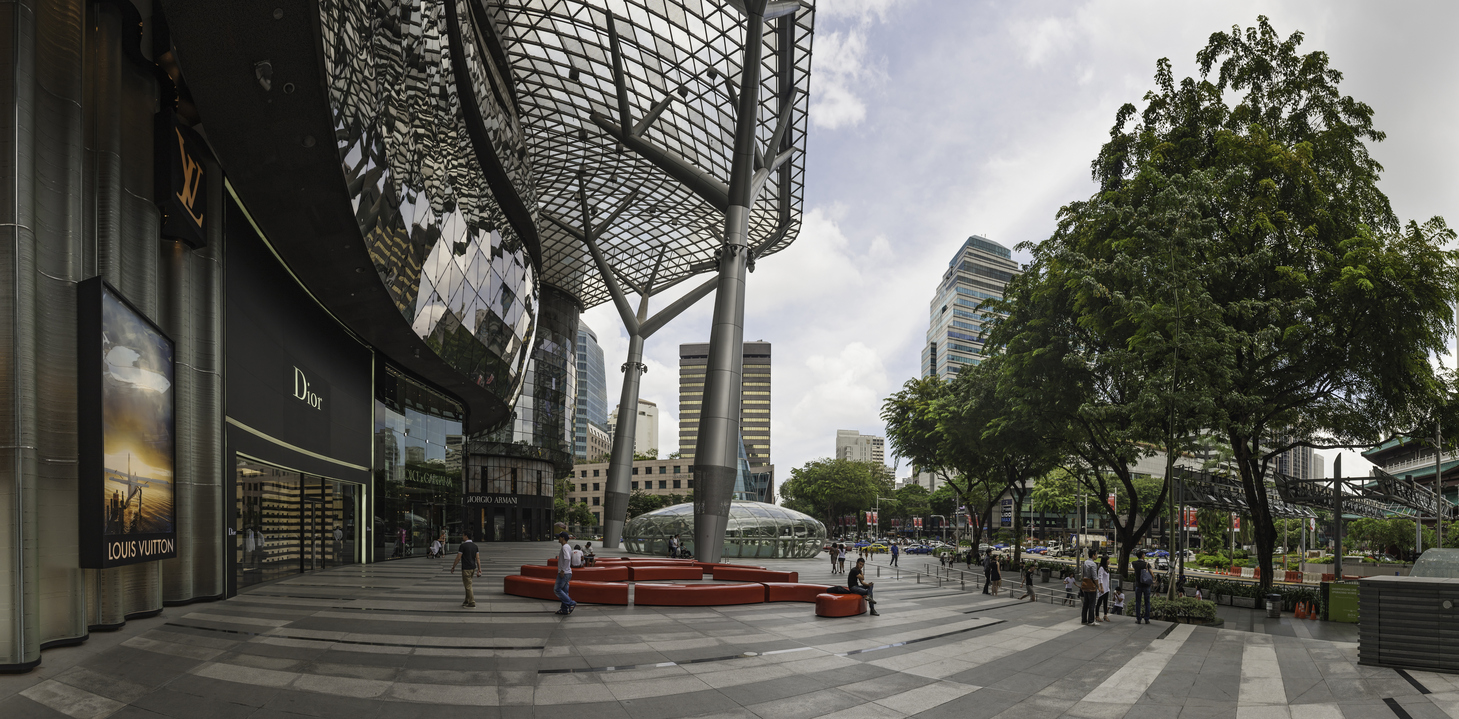 Ion Orchard's retail landscape