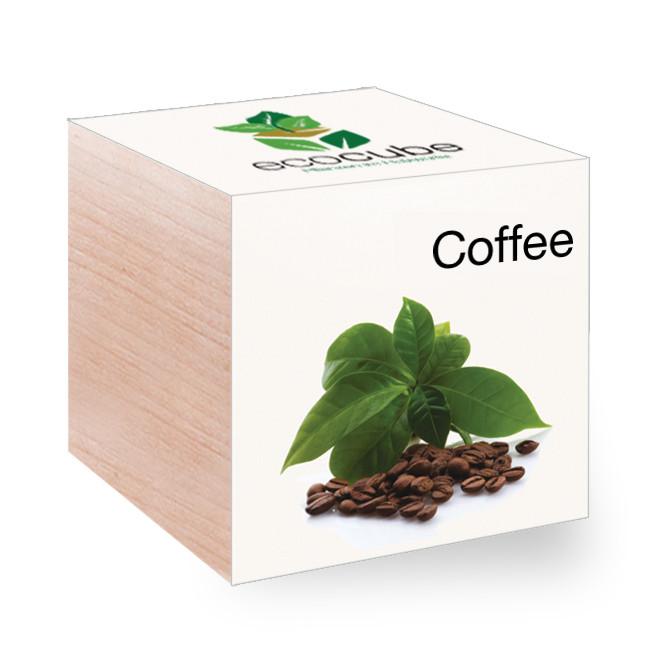 christmas gifts coffee plant
