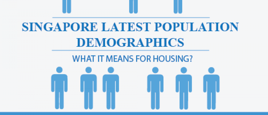 DEMOGRAPHICS OF SINGAPORE visual data 5