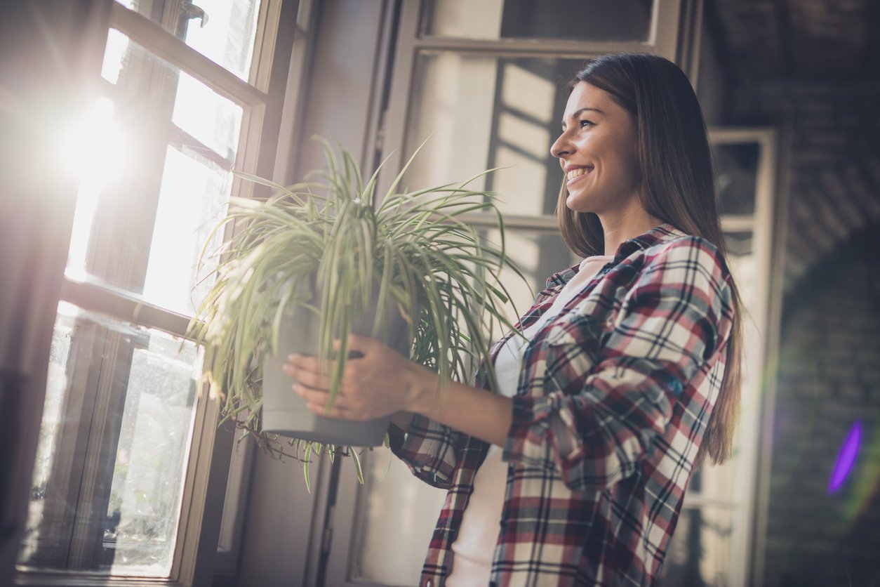 care indoor plants