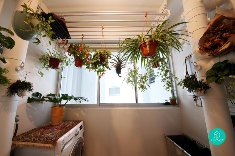 Service Yard Hanging Plants Green