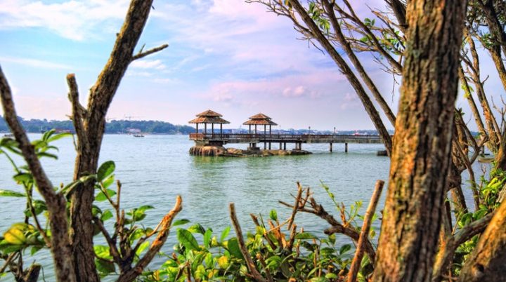 pulau ubin