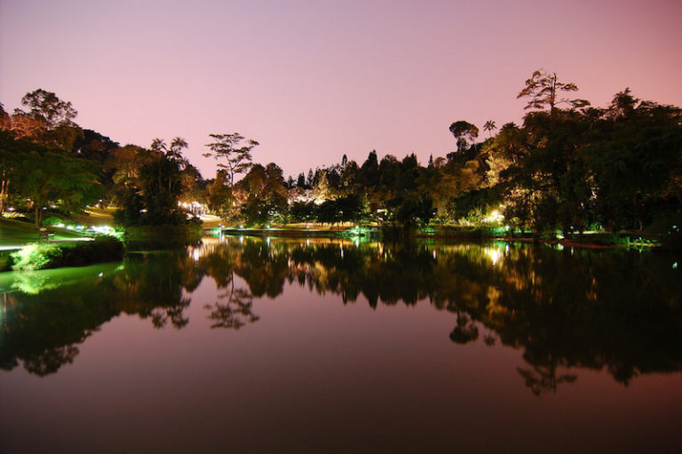 botanic gardens