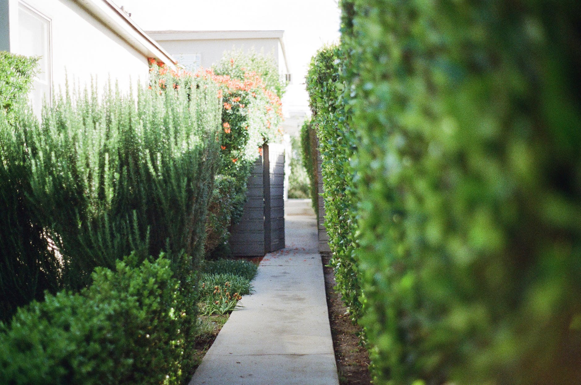 gardens are hotspots