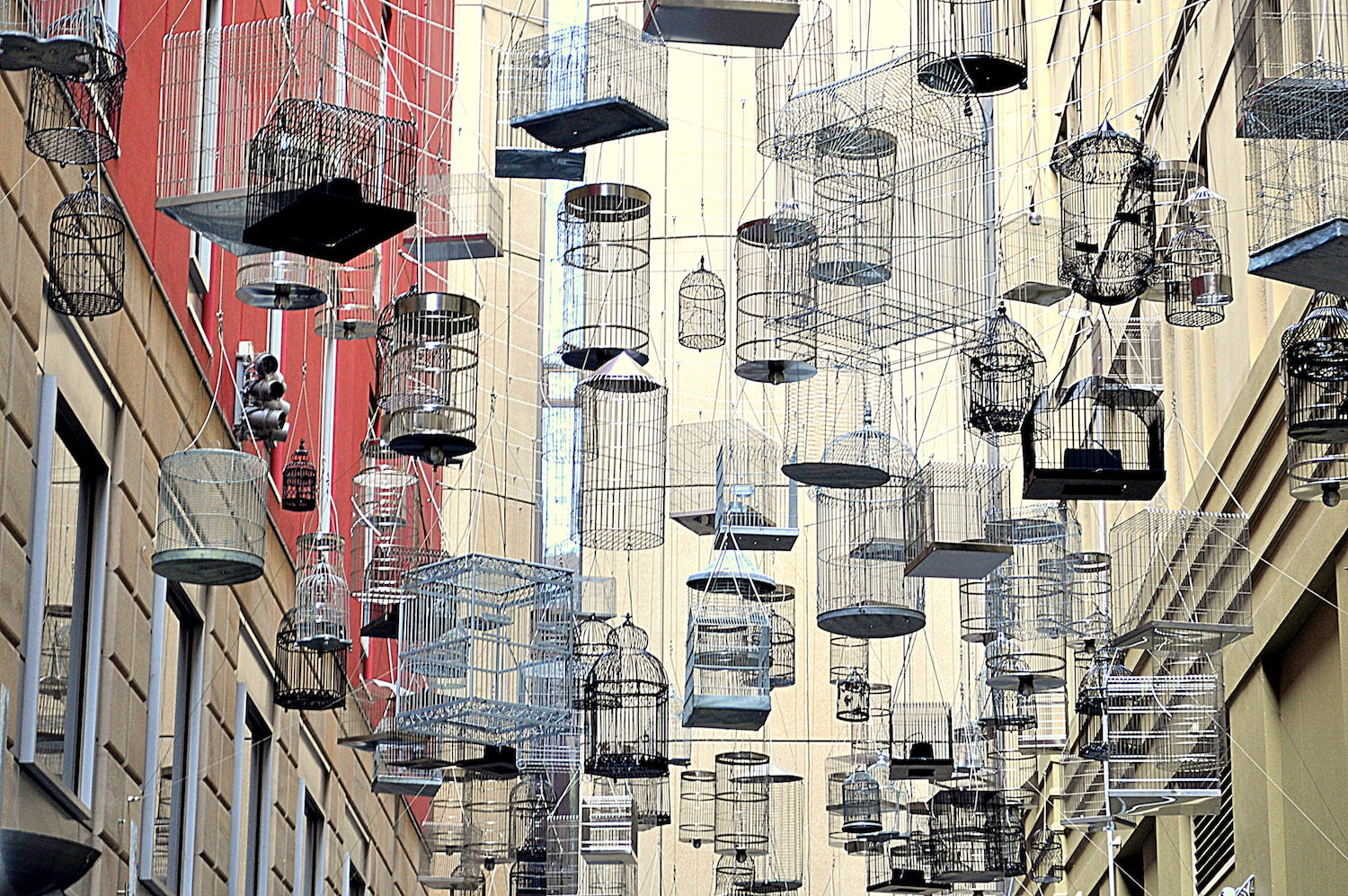 tiong bahru bird singing hub