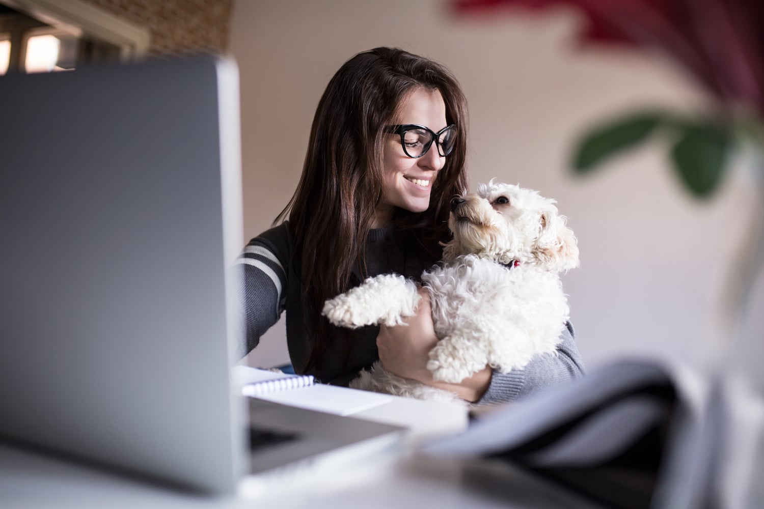 rent out condo quickly pet friendly