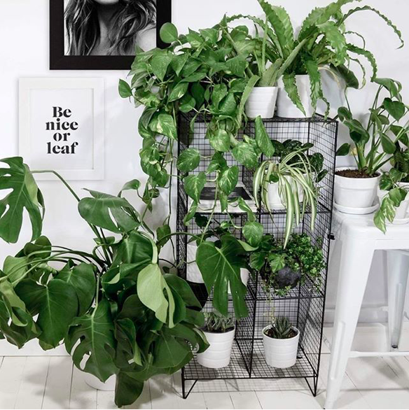 A touch of nature