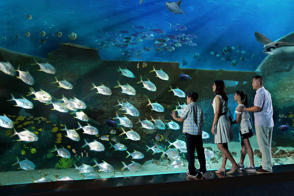 family looking at fish at S.E.A. Aquarium 