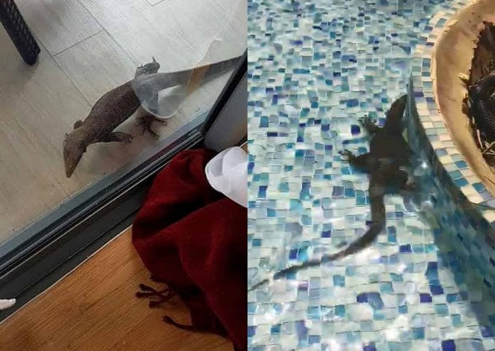 wildlife condo singapore