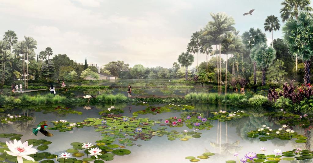 West Side of Singapore Jurong Lake Gardens