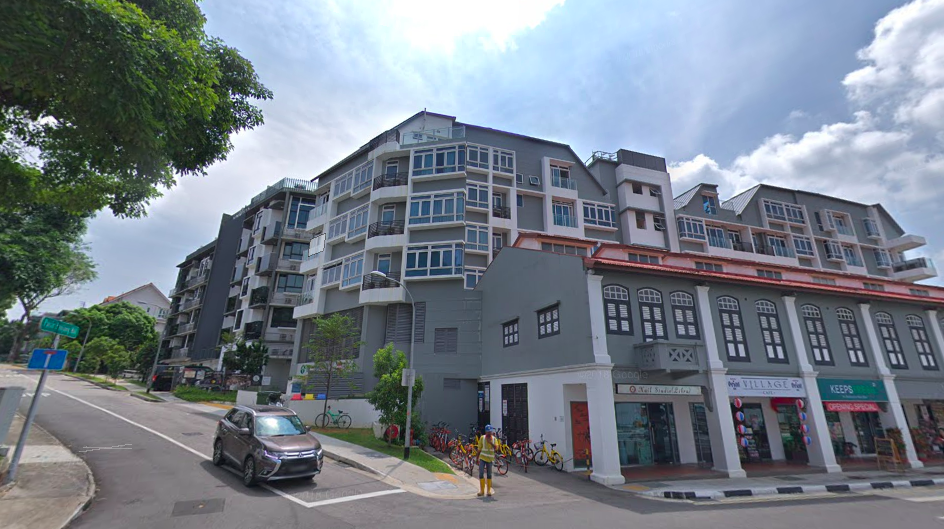city fringe neighbourhood pasir panjang expats