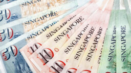 Income in Singapore dollar notes of various denominations