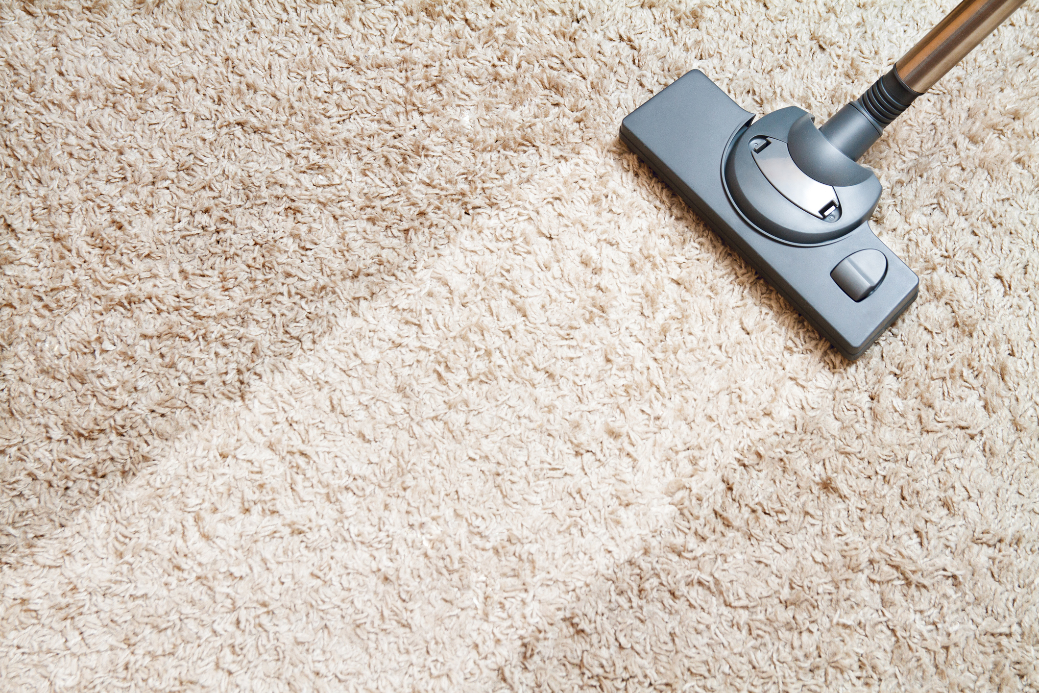 Carpet cleaning service