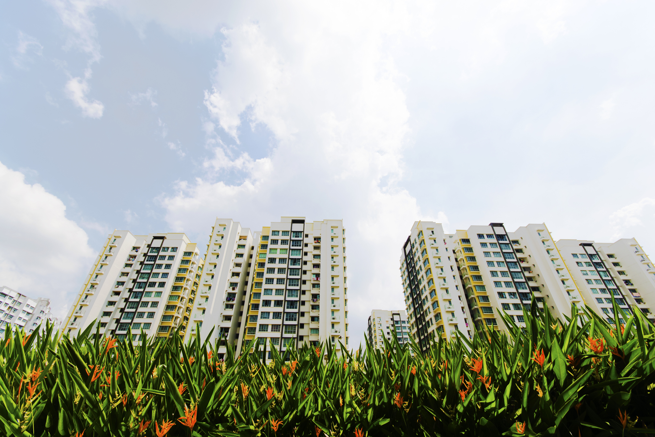 HDB flats