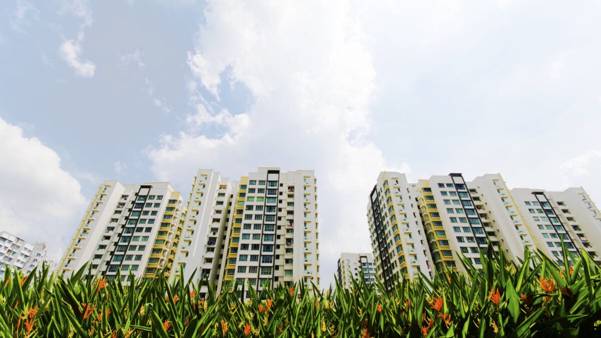 HDB flats in an open field