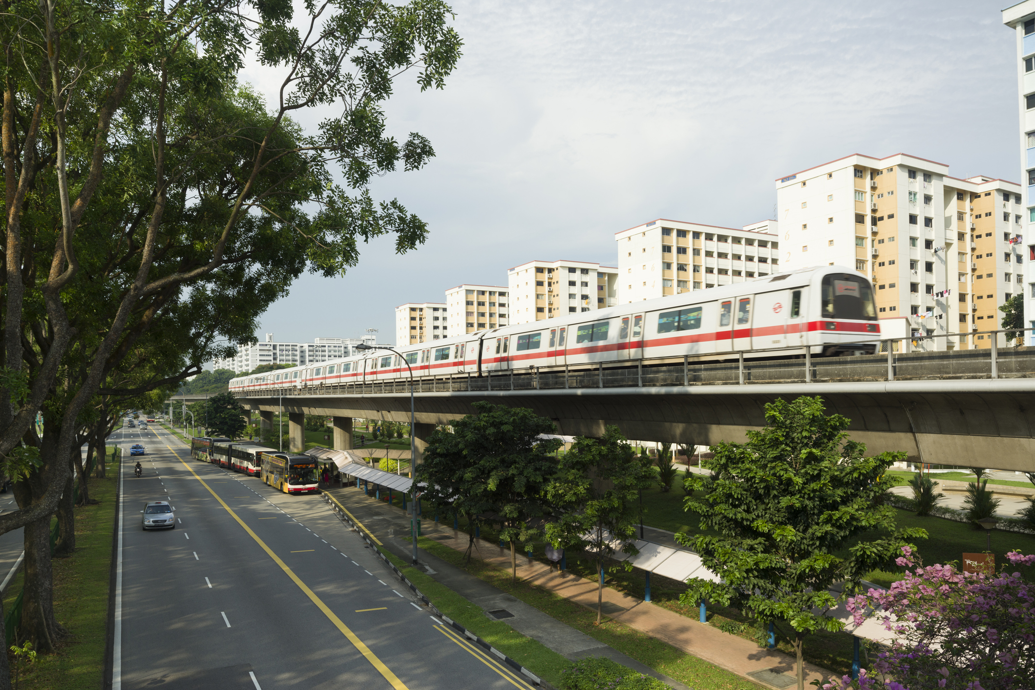 HDB flats and train
